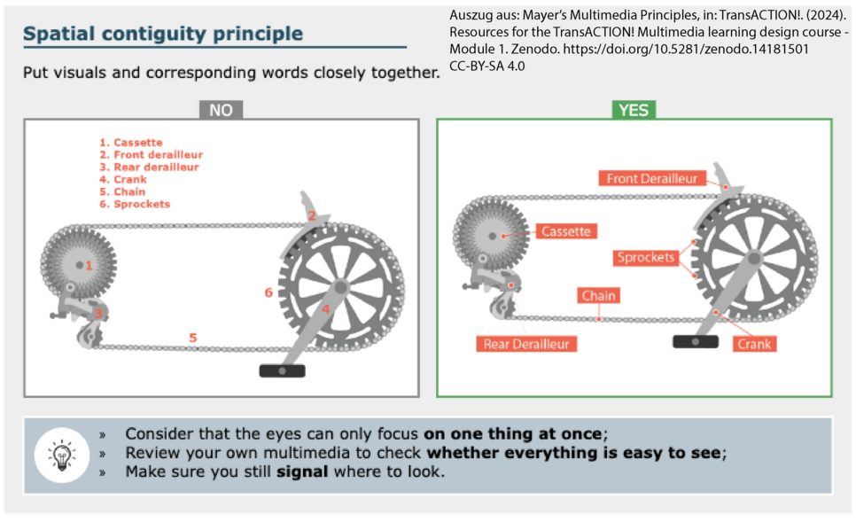 TransACTION_HandoutMayersMultimediaPrinciples_SpatialContiguityPrinciple_Auszug