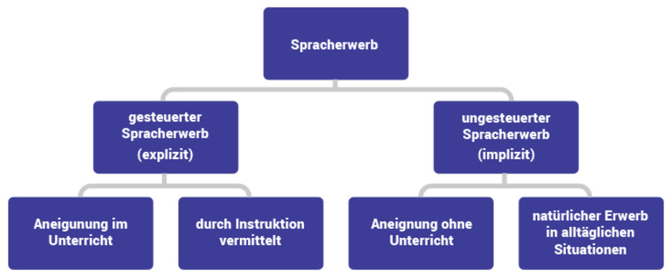 Spracherwerb-erwerbsmoeglichkeiten