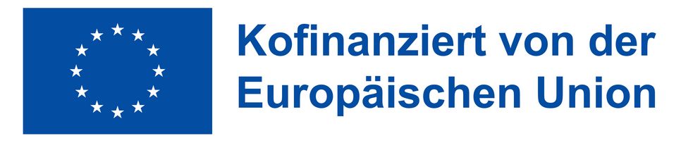 DE_Kofinanziert_von_der_Europaeischen_Union_DRUCK_blau